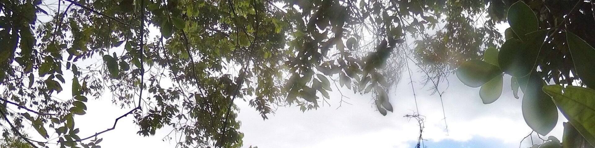 Antelope falls in the mayflower Bocawina district of Belize has some incredible views along with a set of 3 waterfalls and two pools for swimming