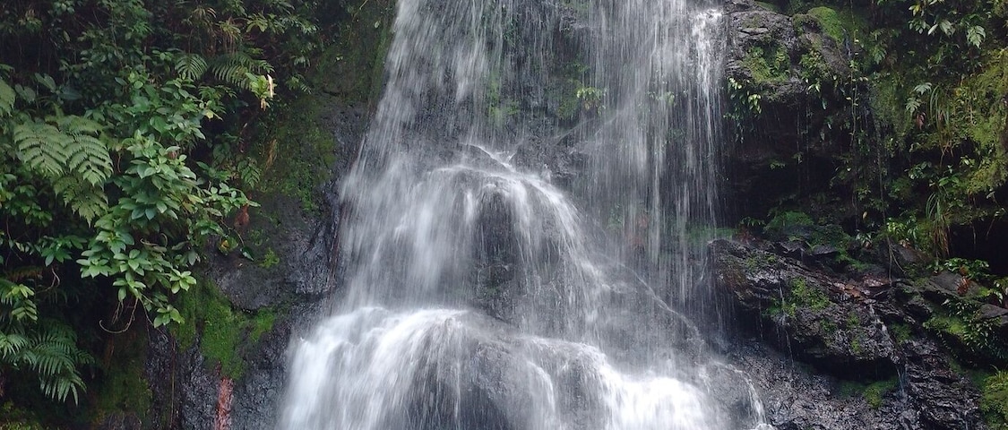 1 hora y media de caminata en Tiger Fern trail hasta llegar a estas cascadas dobles donde se puede bañar. Hermoso lugar.