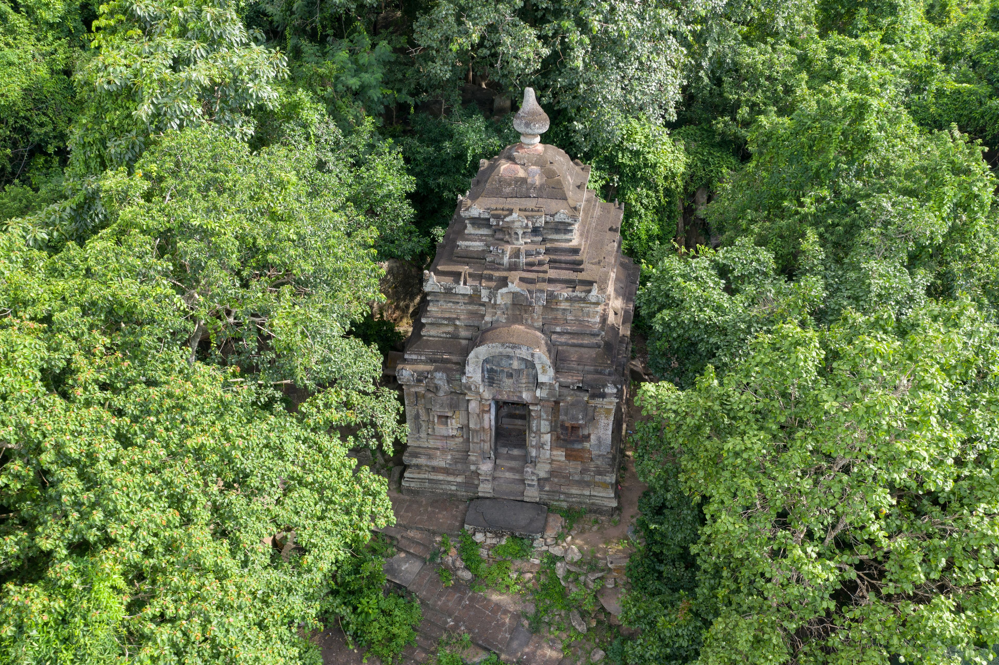 Um templo antigo cercado por uma floresta densa.