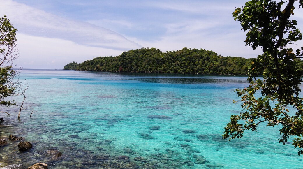 Taken from my room. I was diving with Rubiah Tirta Dive Center in 2011. Those waters are full of incredible creatures. Go there very early and you'll see dozens of sharks!