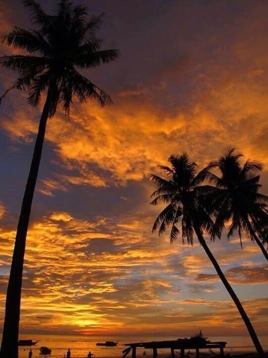 Sunset at Maluku Island 😍😍😍 #goldenhour