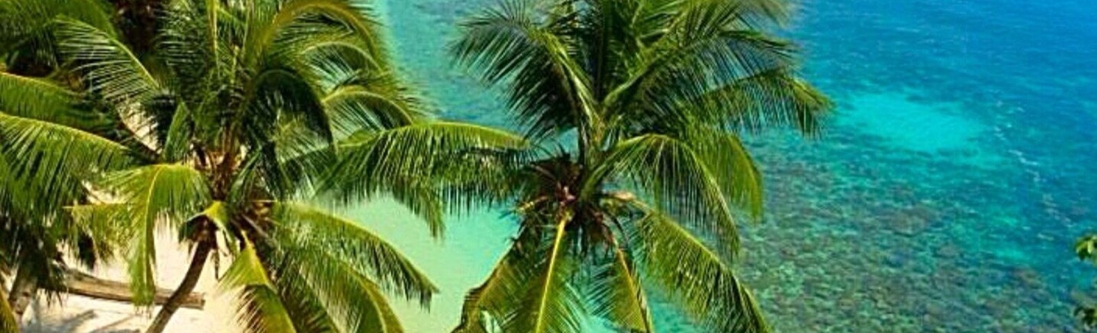 One of the Beautiful Beaches in Maluku Island. Maluku Islands is a province of Indonesia. Maluku is blessed with incredible sea gardens, idyllic, tropical beaches and rugged, forest-coated volcanic mountains. These are the famous ‘spice islands’ which drew Indian, Chinese, Arab and eventually European traders in search of cloves and nutmeg. #beach