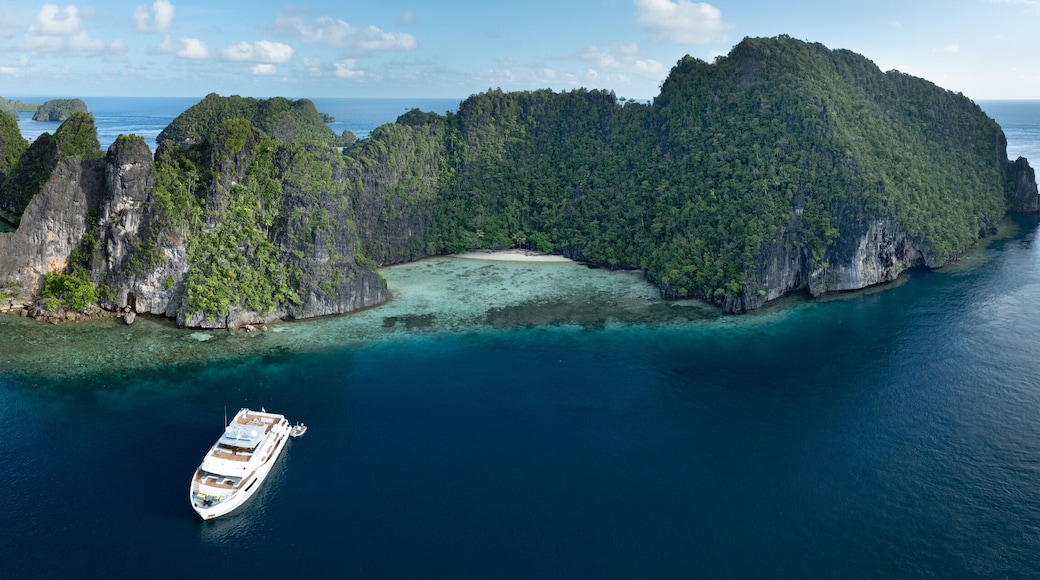 ปาปัวตะวันตก