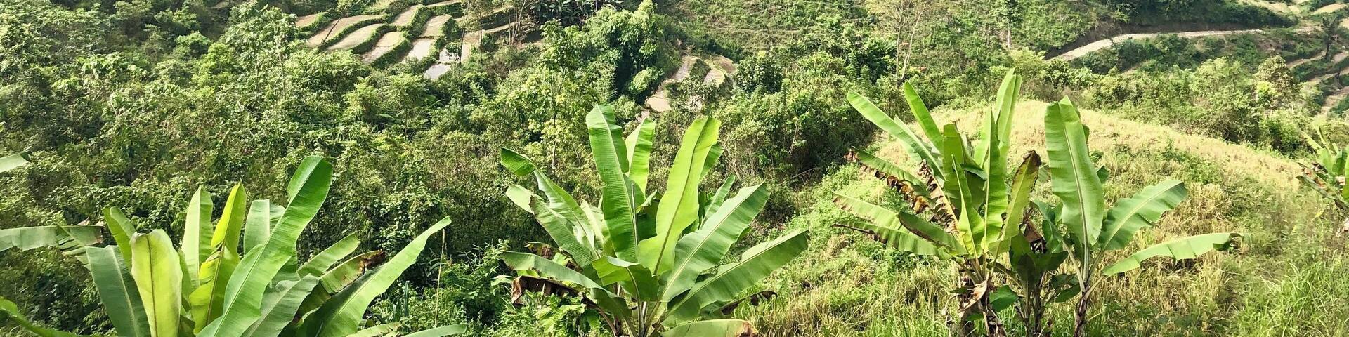 Just a little stop on the side of a road in Flores and there was this beautiful view!