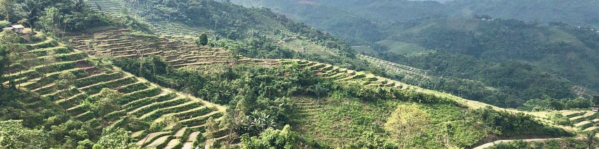 Just a little stop on the side of a road in Flores and there was this beautiful view!