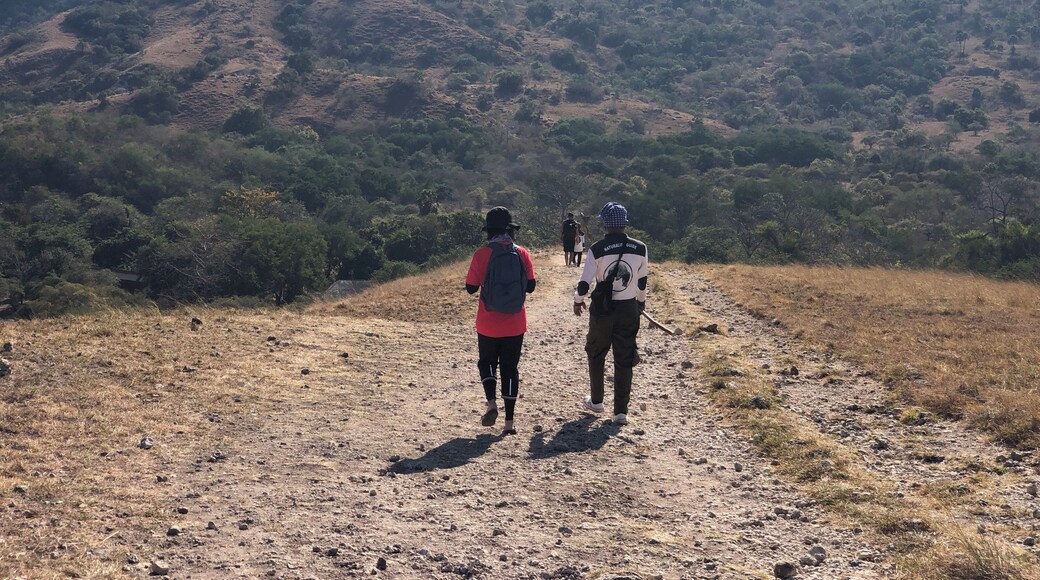 There’s short, medium and Long trails. We opted the medium one which took us about 50 mins to complete