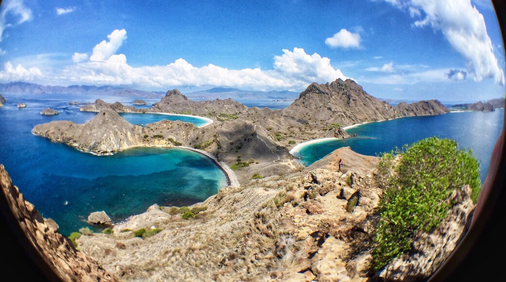 Thought I'd share a fisheye lens view of Padar Island! 🌴
I hiked this monster yesterday & boy am I feeling it today! But the view was worth it.
Padar Island is the third largest national park that makes up the Komodo Islands.
While there are no Komodo dragons here, there are three different beaches: one has white sand, one black, & the other is pink!
