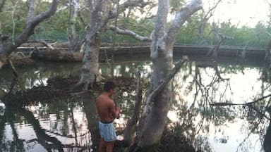 When we were about to leave tinago falls we were craving to eat king crab we end up to this place #crabhunting#travelphilippines