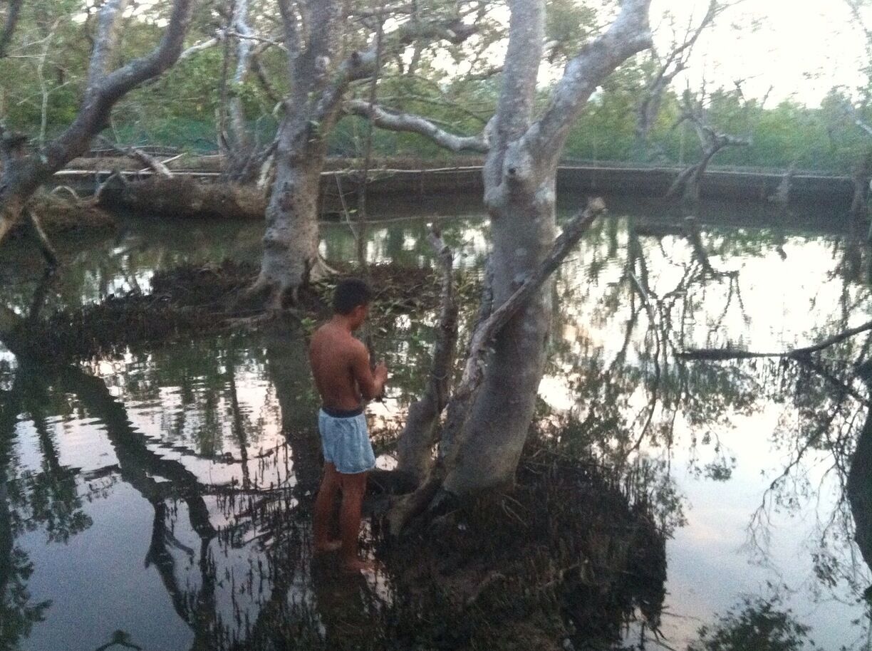 A person standing by a calm body of water surrounded by trees.