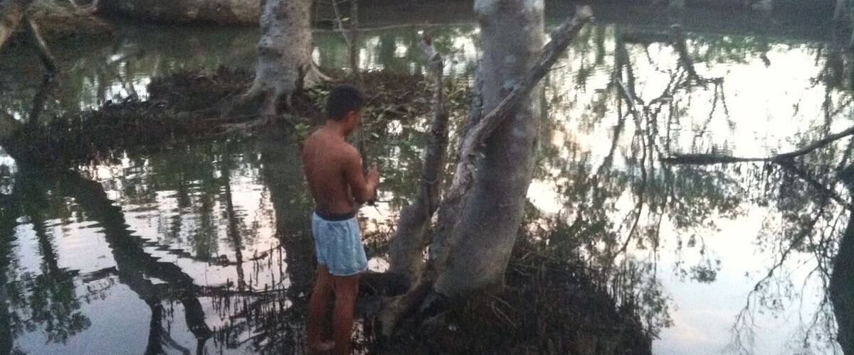 A person standing by a calm body of water surrounded by trees.