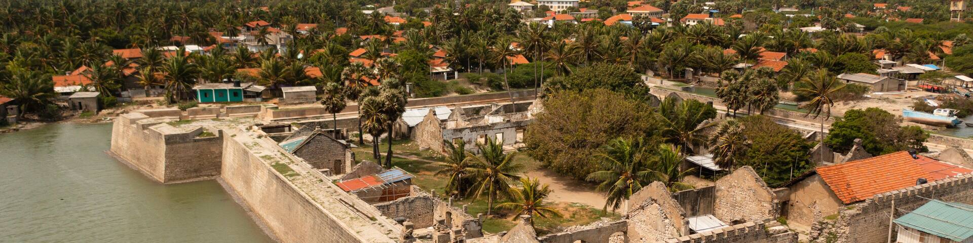 A coastal fortification with a surrounding town and palm trees.