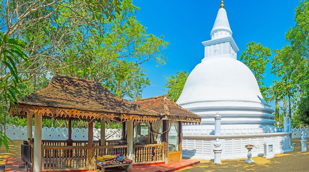 Distrito de Kurunegala