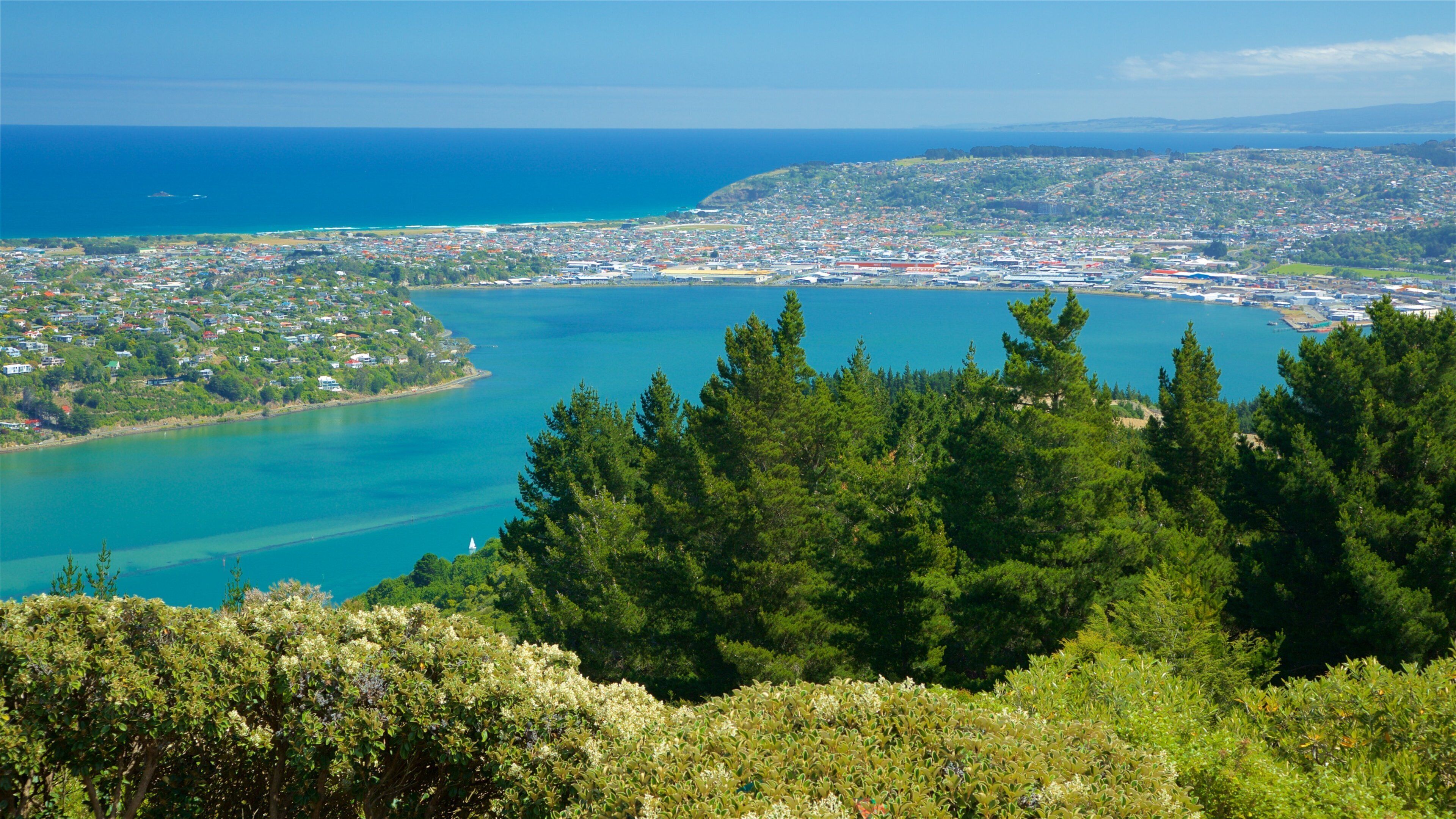 Waitaki District showing general coastal views, a bay or harbor and landscape views