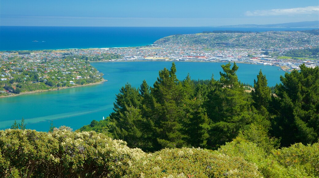 Waitaki District showing general coastal views, a bay or harbor and landscape views