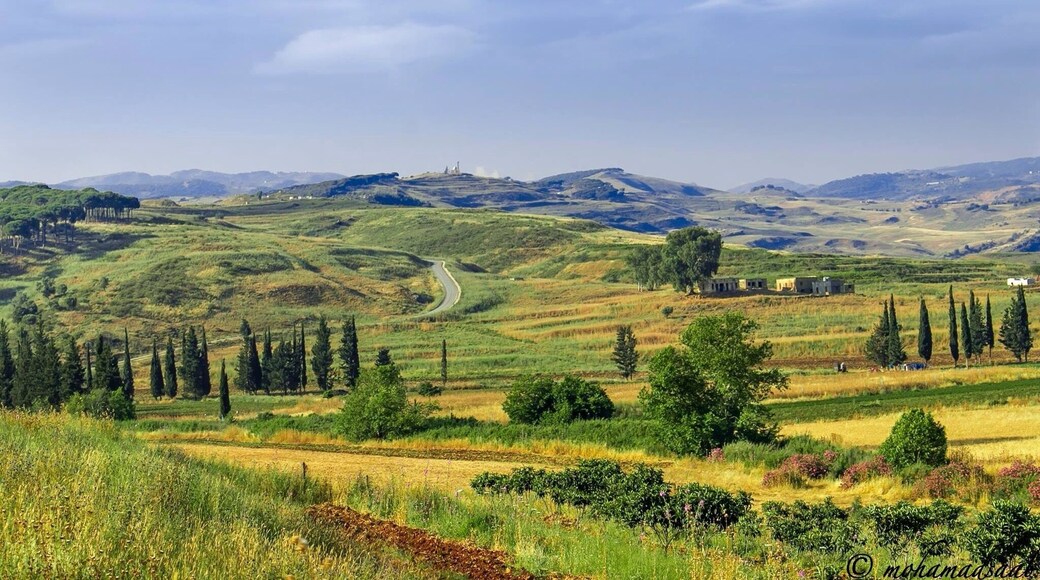 A breathtaking view from the South of Lebanon .It's Marjaayoun ,the village of every person who loves his country .
#WeekendGetaway
#blue