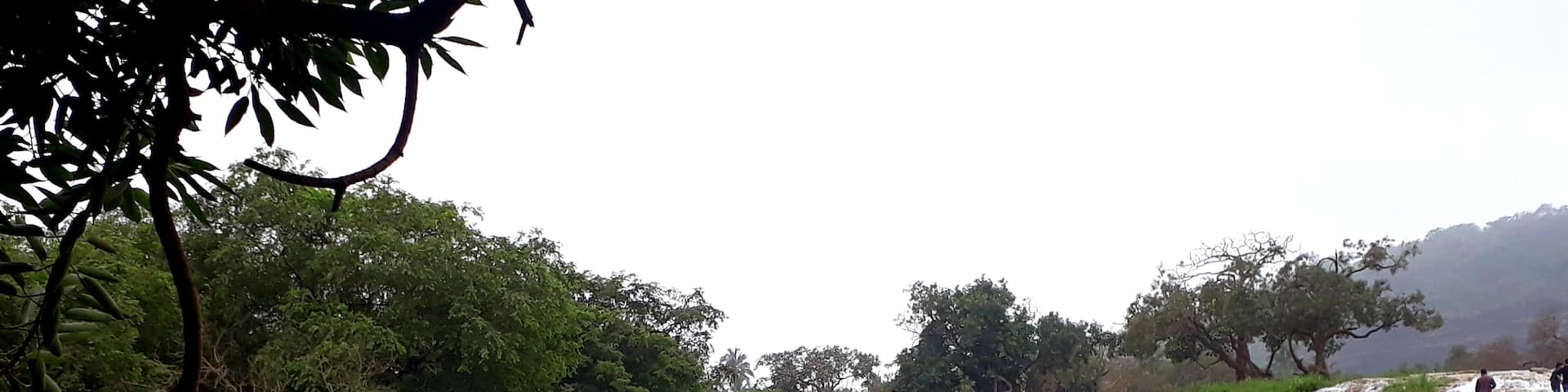 What a Beautiful Waterfall in Darbat...Salalah...Oman...A Paradise on Earth...Green surrounding.. Blue Water..Cool Breeze....