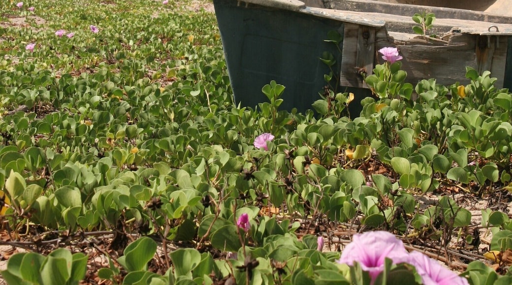 Beautiful, isolated spot.