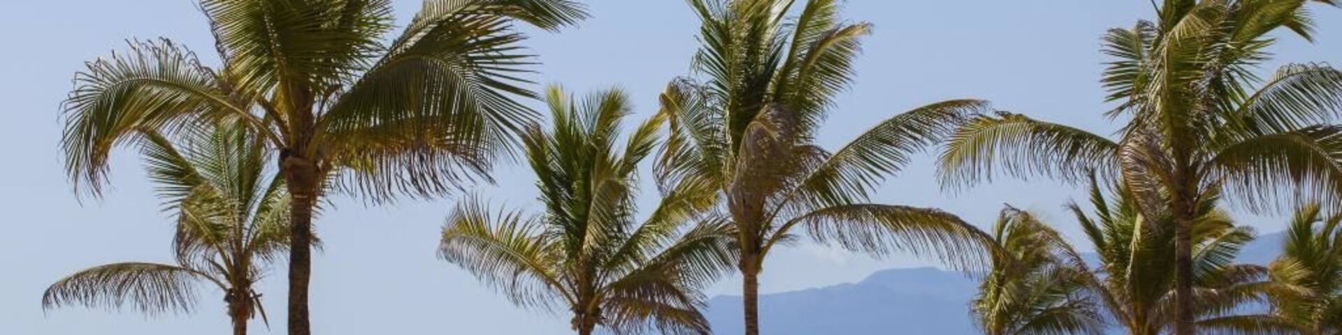 Amazing mother Earth, from the greater creator سبحان الله