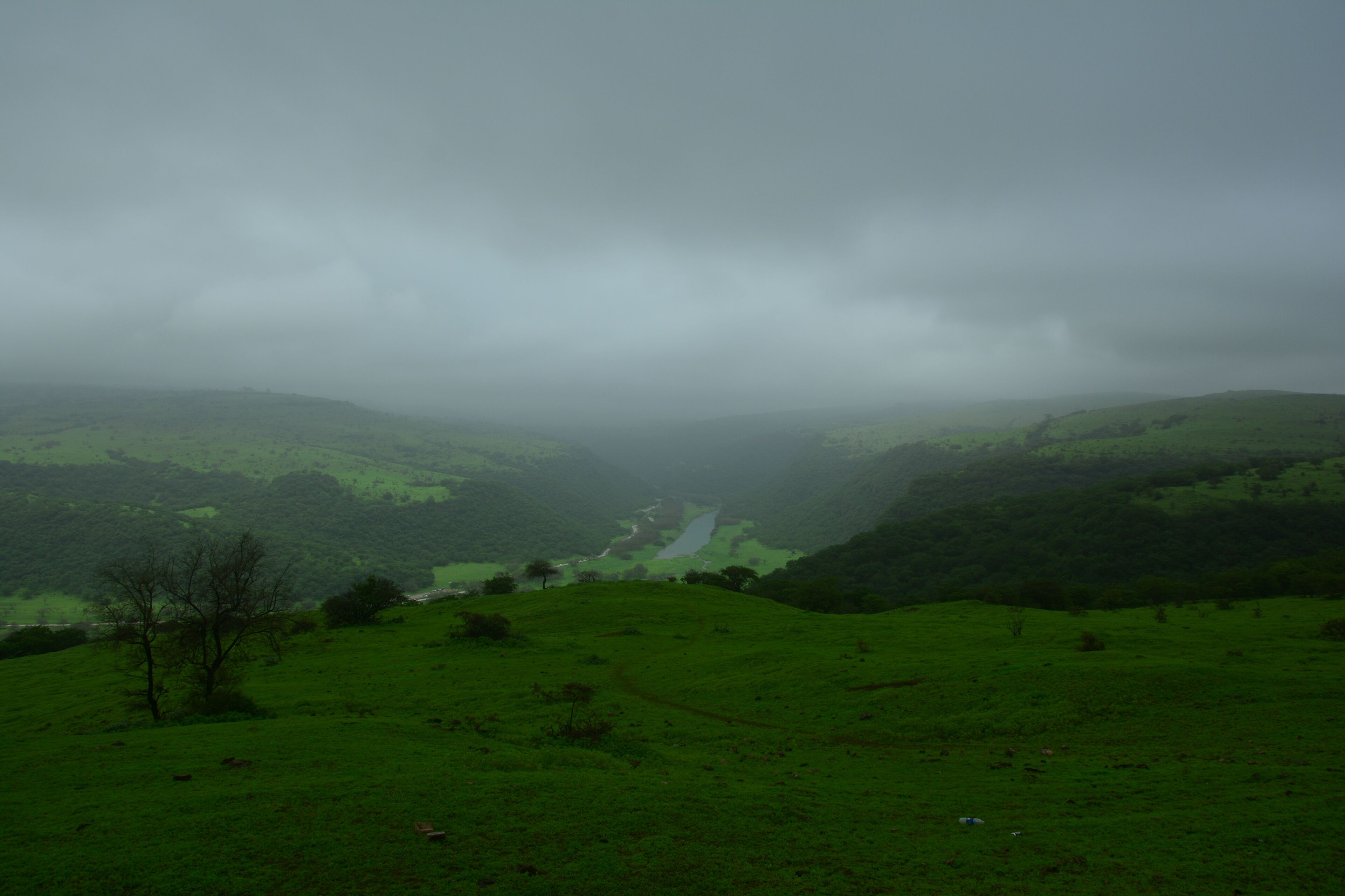 This is in the middle east Yes, you see the lake in the center.
It turns green in a week time, it is true, in my first year people were telling me next week you will see. And it happened.