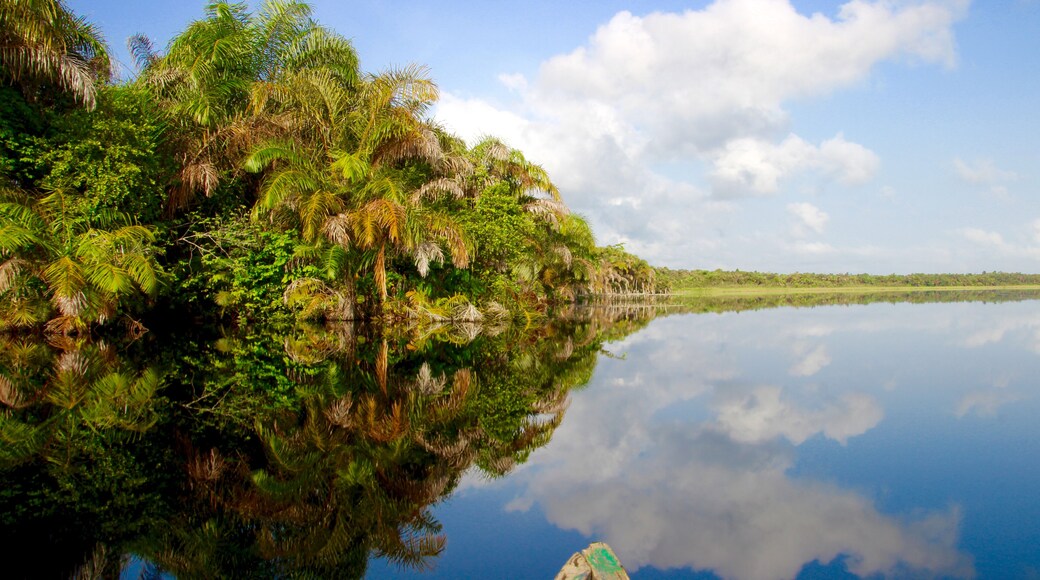 Amansuri Lake in Ghana: Auf dem Weg nach Nzulezu.