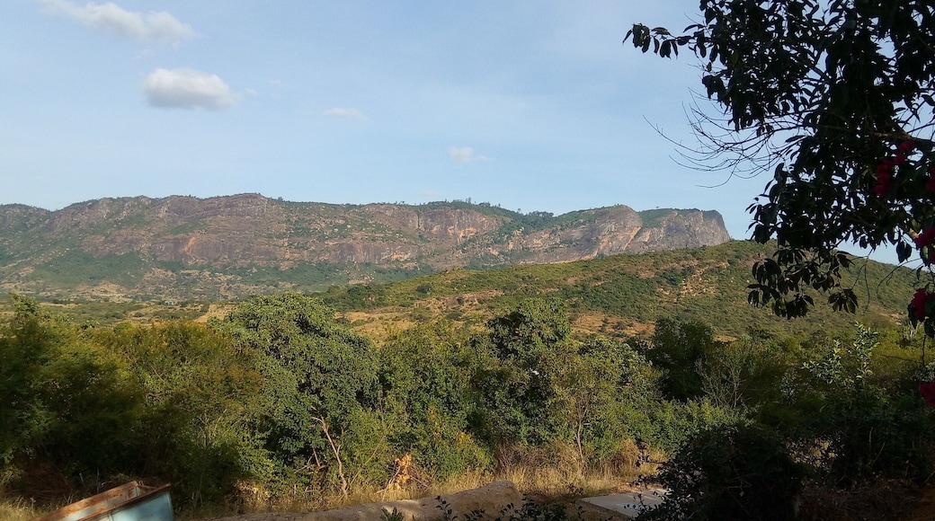 Rock climbers Paradise