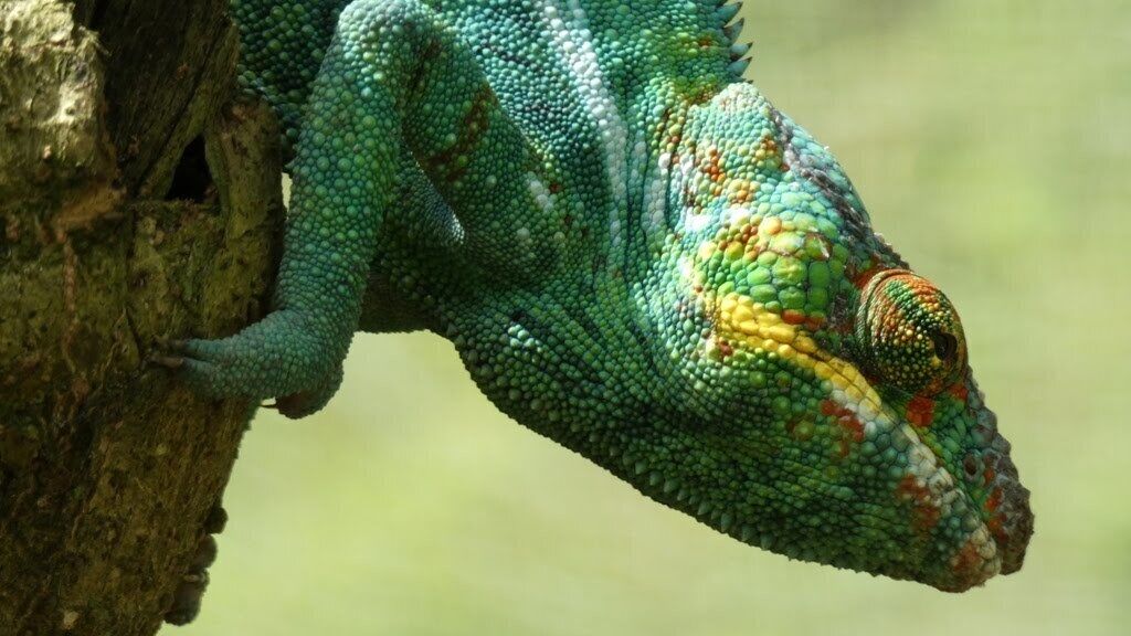 #LifeAtExpediaGroup  Blending in !