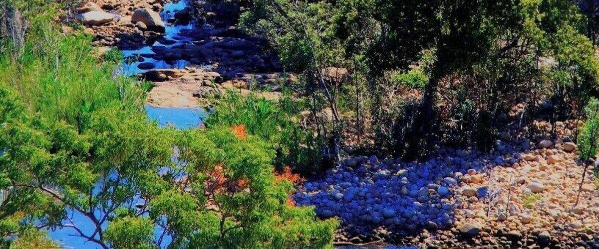 In the height of dry season, these rivers are calm and fairly low.
#nationalpark