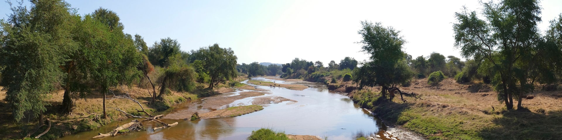 A river flowing through a forested area with trees and muddy banks.