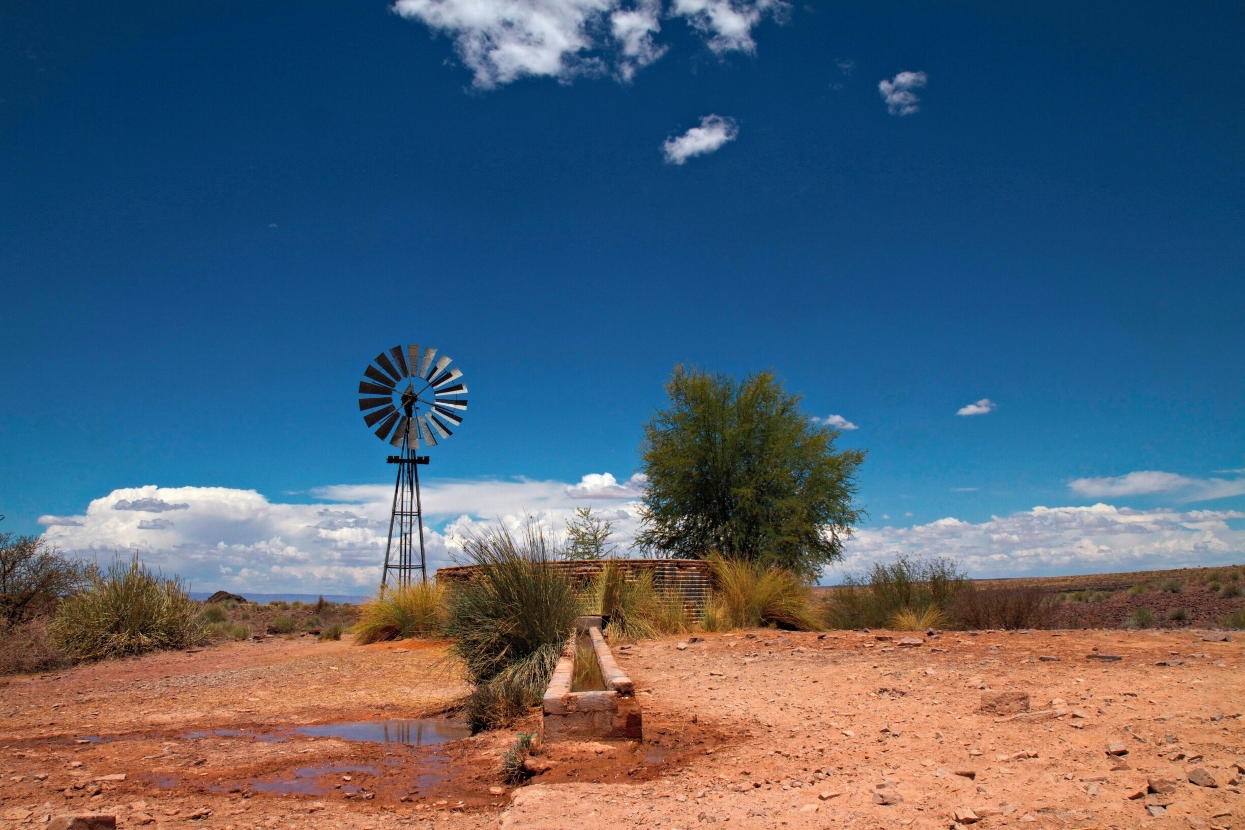 Namibia is one of the few countries in Africa where it is safe and easy to rent a car and drive by yourself. We had our epic #roadtrip in 2012/13 and loved it. We are going back for sure! Fish River is the second biggest canyon in the world, after Grand Canyon in the US. This is on the way down to the canyon.
Read more on: http://www.travelwithallsenses.com/namibia-desert-country-surprises/
