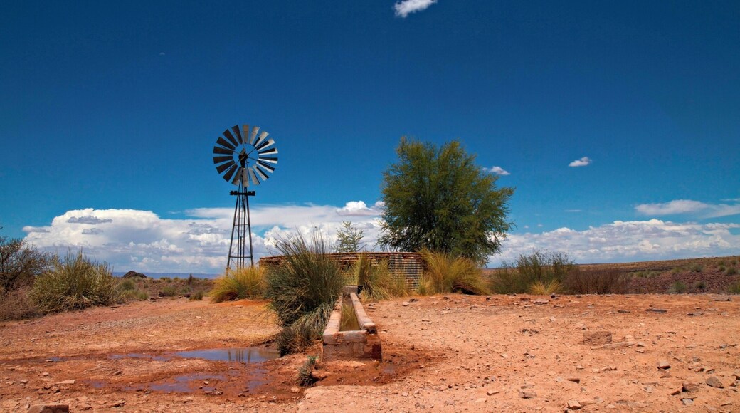Namibia is one of the few countries in Africa where it is safe and easy to rent a car and drive by yourself. We had our epic #roadtrip in 2012/13 and loved it. We are going back for sure! Fish River is the second biggest canyon in the world, after Grand Canyon in the US. This is on the way down to the canyon.
Read more on: http://www.travelwithallsenses.com/namibia-desert-country-surprises/
