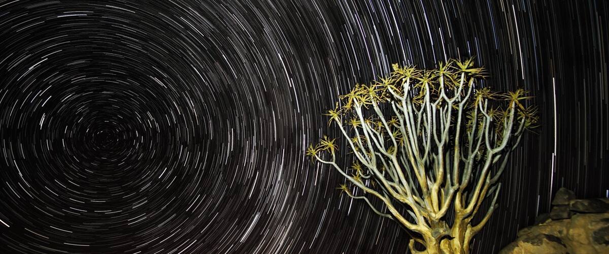 The Quivertree Forest is a beautiful place in Namibia.
In my opinion, the best place to see it is not at the quivertree forest rest camp, but in another camp about 15km north of Keetmanshoop, along the B1 road.
There are these beautiful trees, along with naturally square rocks, which makes this landscape quite surreal !
#BvSAstro