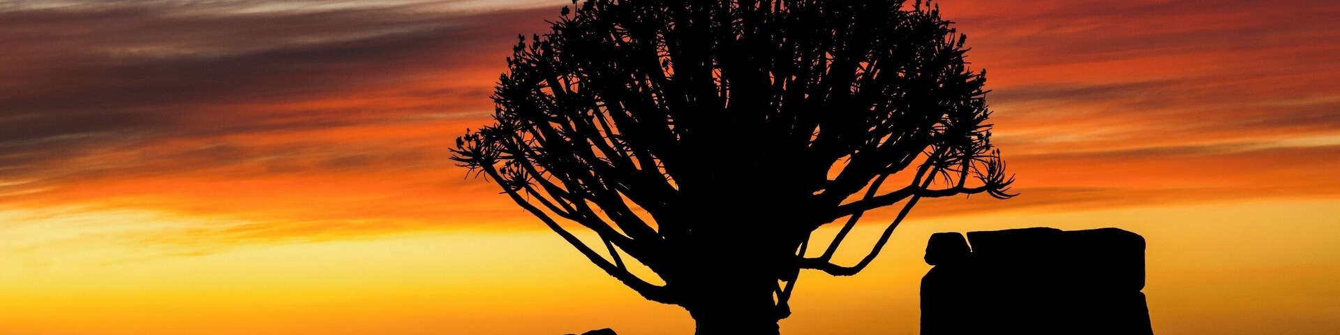 The Quivertree forest is a well known place in Namibia, but to my mind, the best place to see quiver trees is Garas Rest Camp, 30kms north of Keetmanshoop. The Quivertrees are mixed with beautiful natural square rocks, definitely a place to visit !
#BVStrove