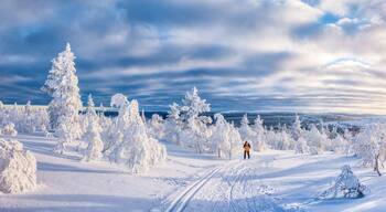 A snowy landscape with a skier, snow-covered trees, and a clear sky.