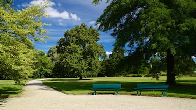 Hannover featuring a garden