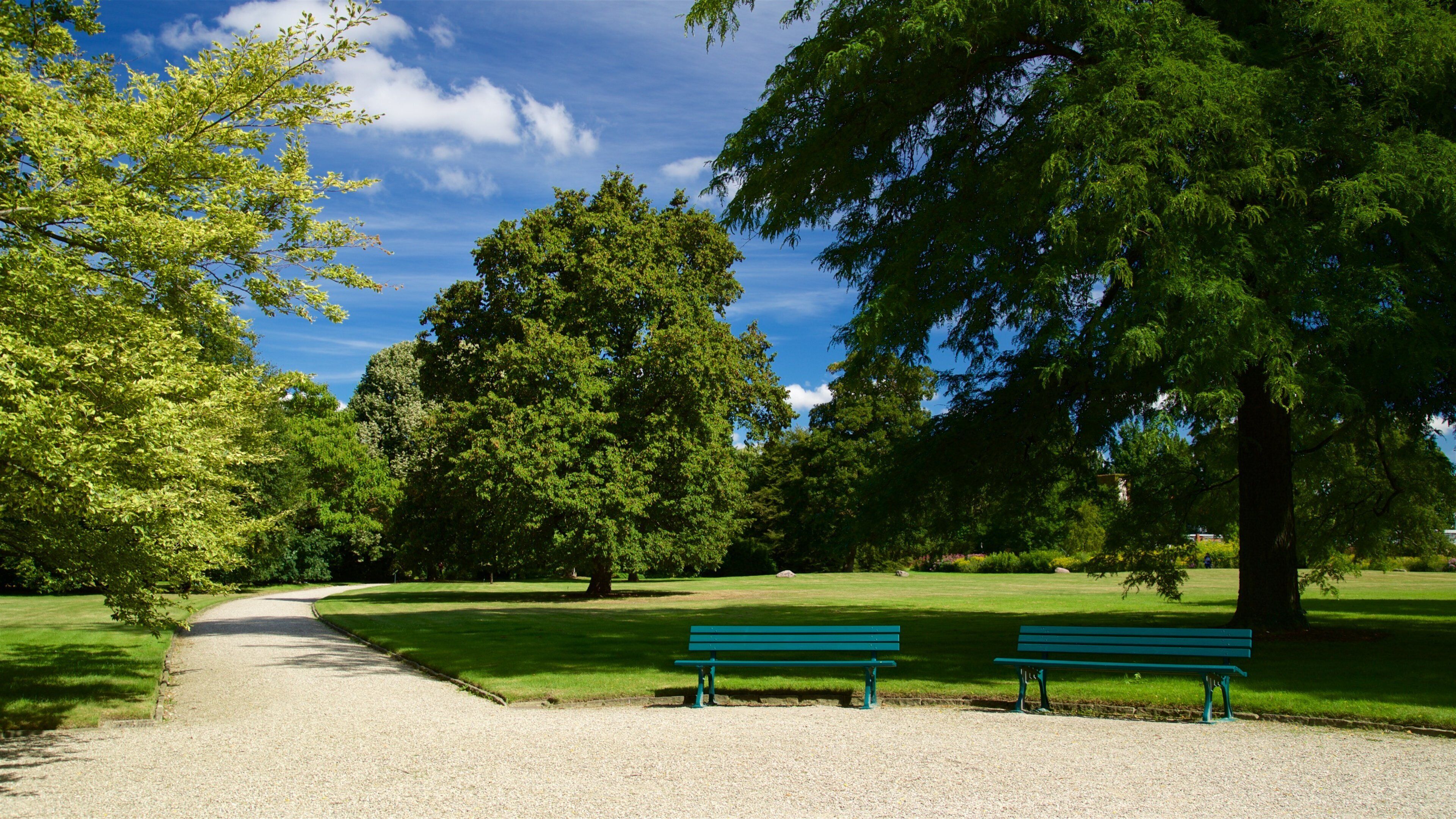A park with a gravel path, two green benches, and large trees under a blue sky.