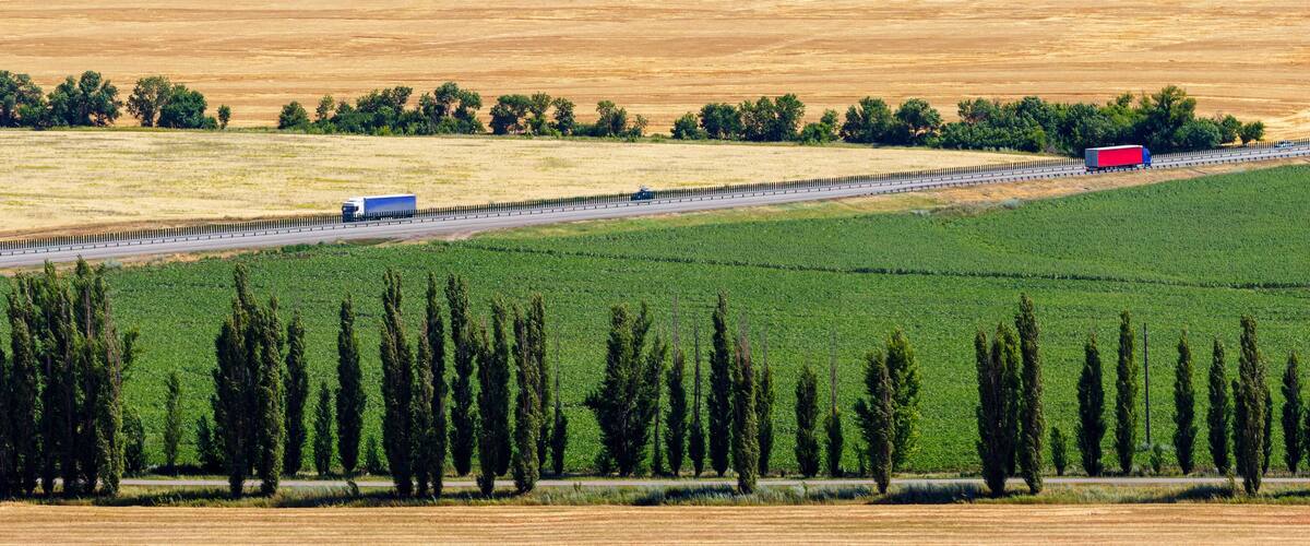 A highway with two trucks, one blue and one red, traveling on a road bordered by green fields and rows of tall trees.