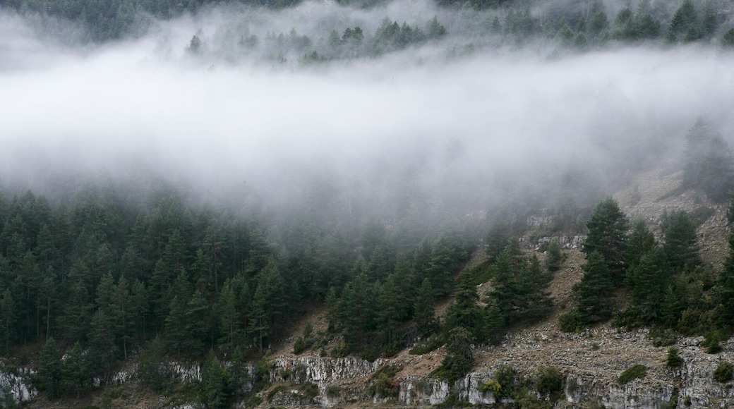 Spain, Province of Guadalajara, Panorama of thick fog shrouding forested valley in Alto Tajo Nature Reserve
