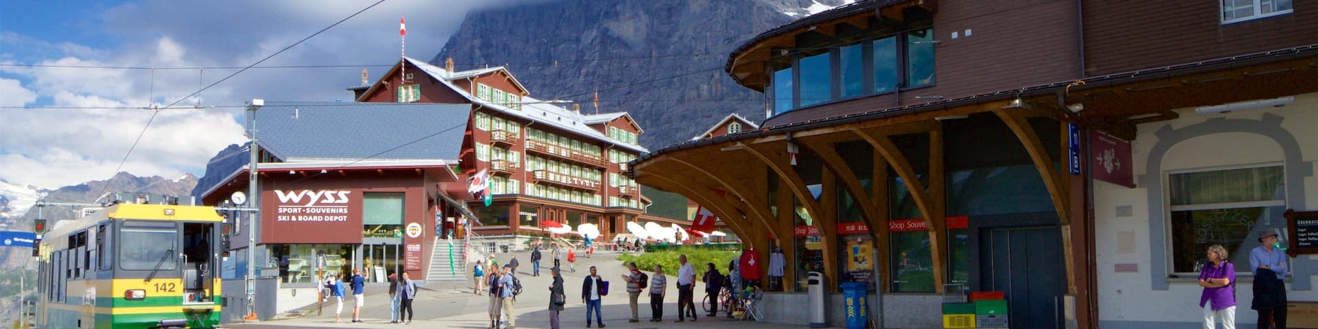 Bernese Oberland featuring railway items