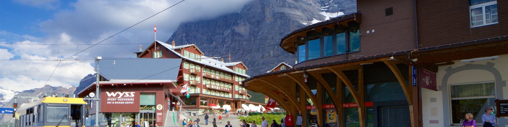 Bernese Oberland featuring railway items