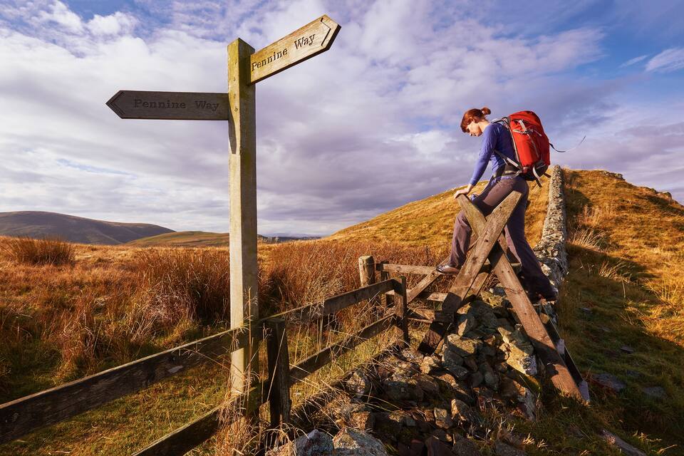 A hiker on a wooden staircase with a signpost indicating 'Fennine Way'.