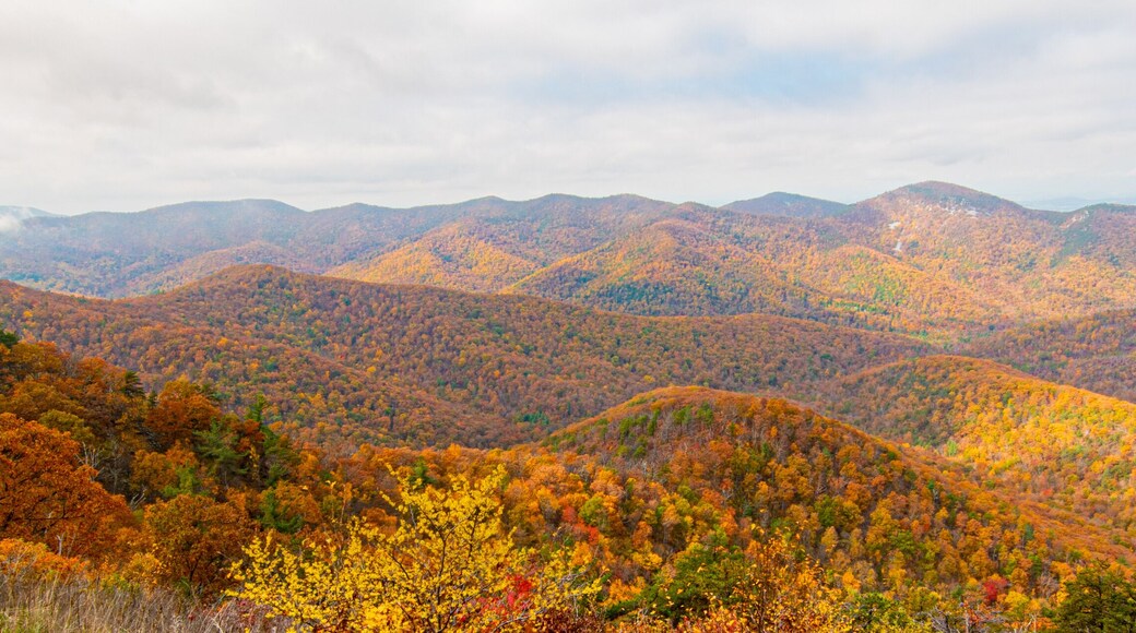 Sunrise in Shenandoah National Park