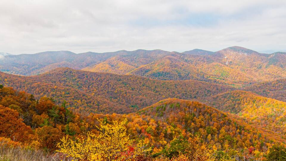 A mountainous landscape with autumn foliage.