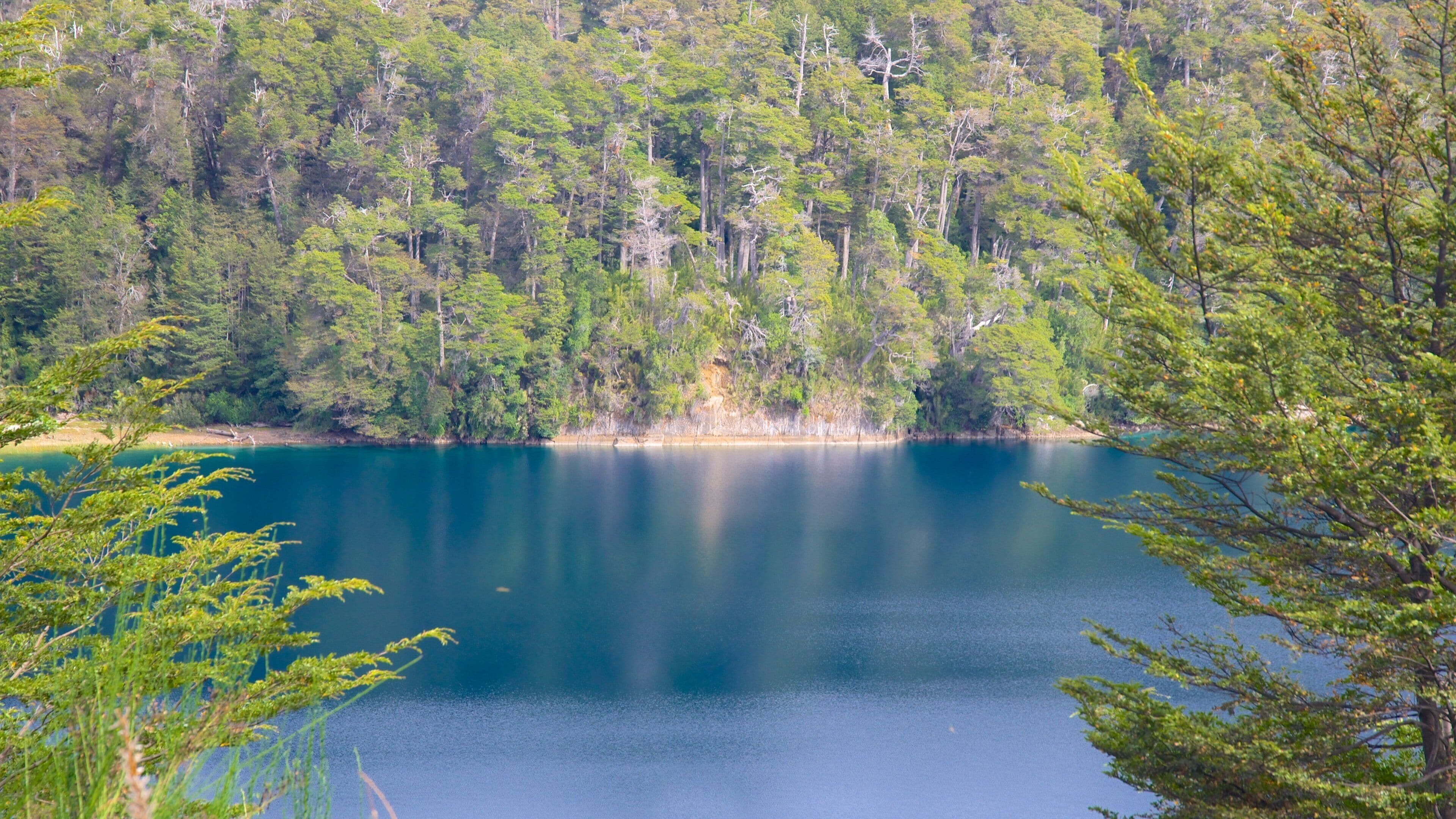 San Martin de los Andes que inclui cenas tranquilas, cenas de floresta e um lago ou charco