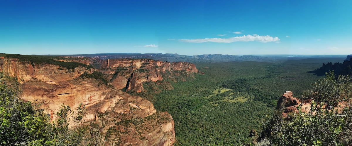 A canyon with steep cliffs and dense forest.