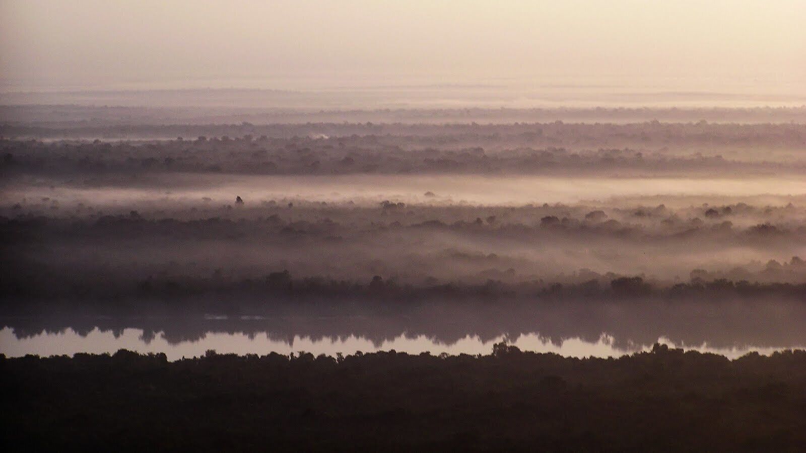 #AboveItAll #Amazon #ultralight 

Flying over the Amazon
Morning mist

Estas fotos foram tiradas, ao longo de vários anos, cobrindo uma vasta área que vai da ilha do Marajó até Salinópolis passando por Mosqueiro, Cotejuba, Vigia, Outeiro, Marieta, Belém e muito mais. A grande maioria foi tirada a bordo de um  ultraleve pilotado por meus filhos a quem dedico estas fotos.

These photos were taken over several years, covering a wide area from the island of Marajó to Salinópolis passing through Mosqueiro, Cotejuba, Vigia, Outeiro, Marieta, Belém and much more. The vast majority was taken aboard an ultralight aircraft piloted by my children to whom I dedicate these photos.
