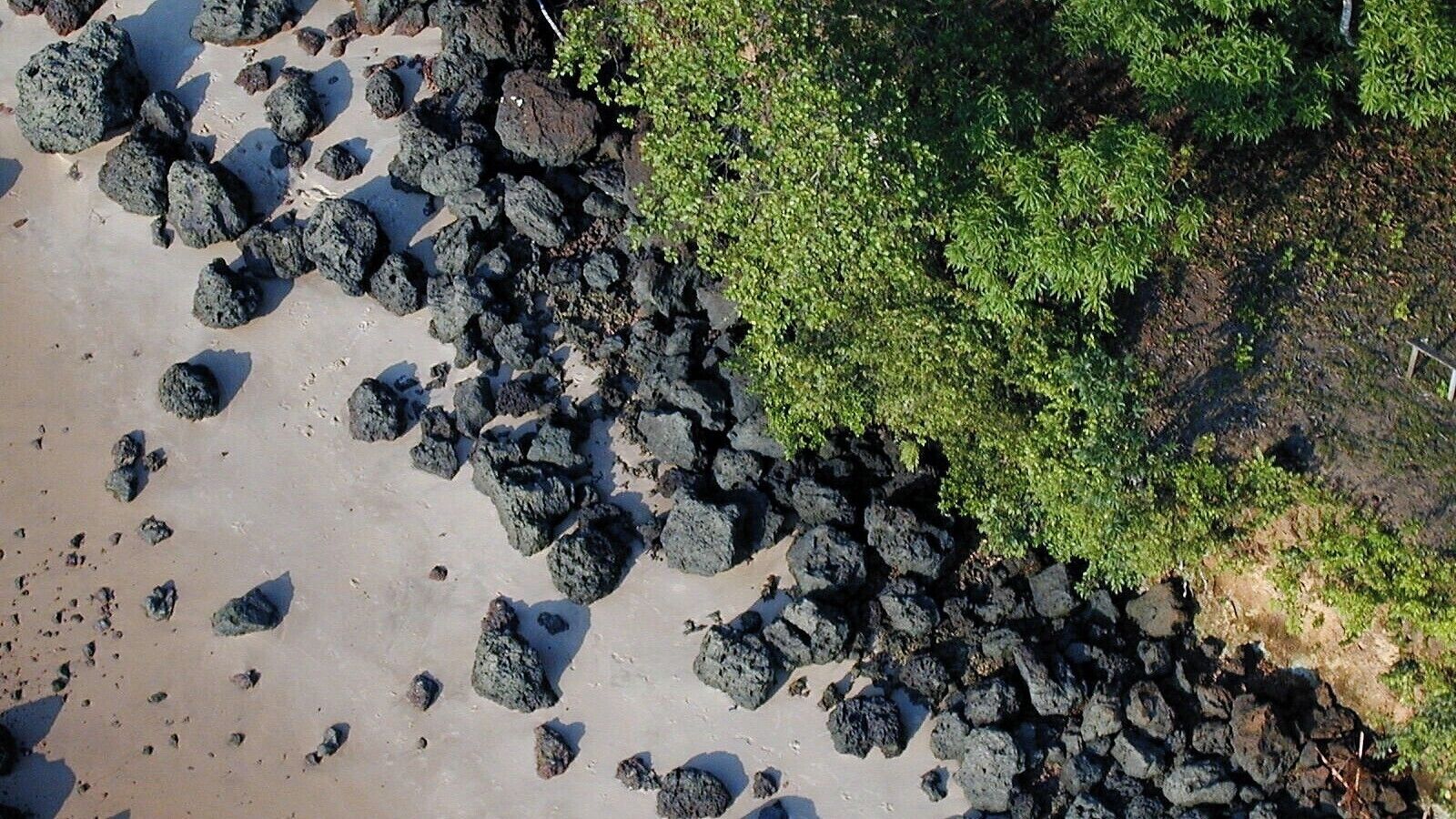 #AboveItAll #Amazon #ultralight 

Flying over the Amazon

Estas fotos foram tiradas, ao longo de vários anos, cobrindo uma vasta área que vai da ilha do Marajó até Salinópolis passando por Mosqueiro, Cotejuba, Vigia, Outeiro, Marieta, Belém e muito mais. A grande maioria foi tirada a bordo de um  ultraleve pilotado por meus filhos a quem dedico estas fotos.

These photos were taken over several years, covering a wide area from the island of Marajó to Salinópolis passing through Mosqueiro, Cotejuba, Vigia, Outeiro, Marieta, Belém and much more. The vast majority was taken aboard an ultralight aircraft piloted by my children to whom I dedicate these photos.