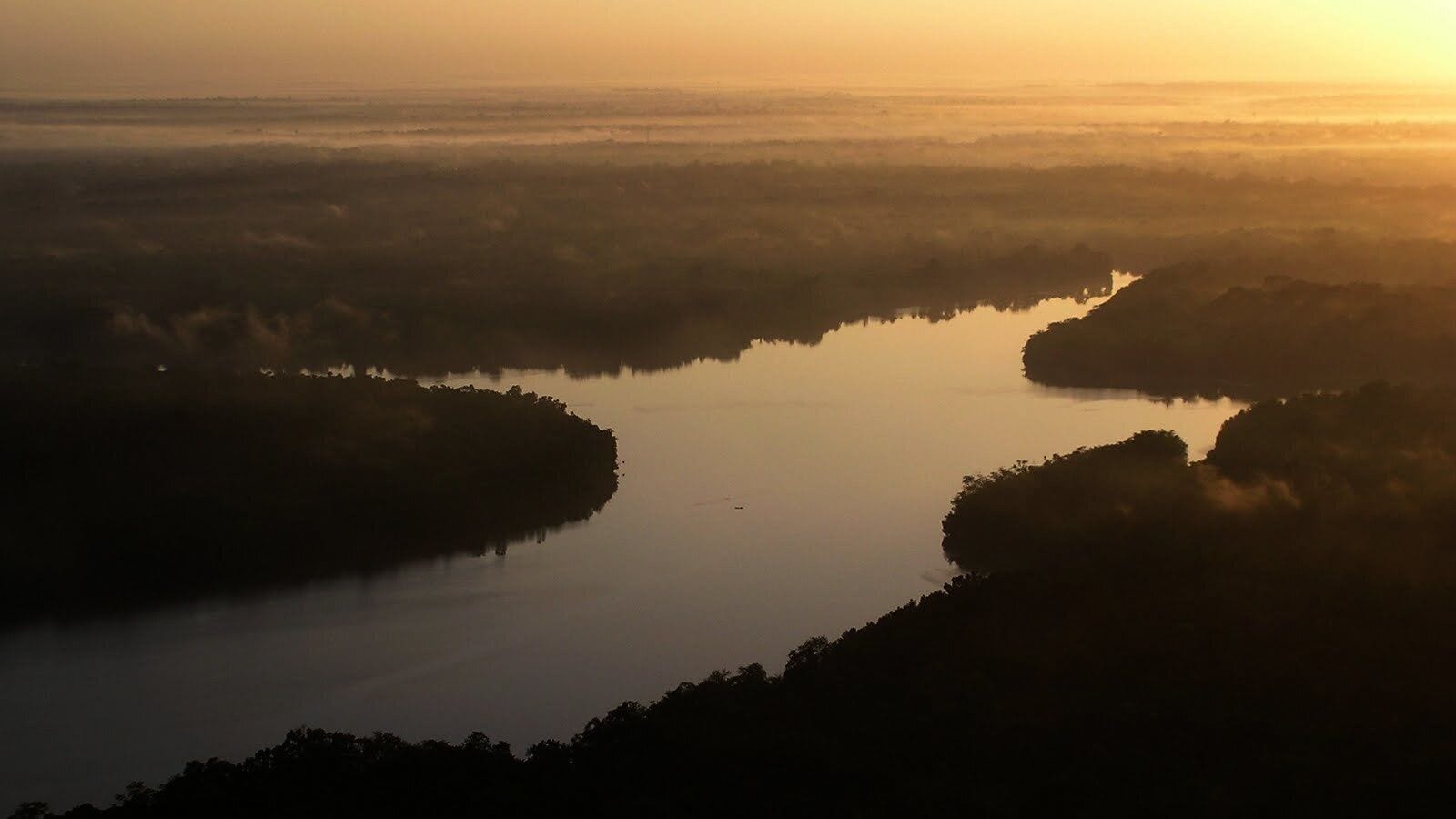 #AboveItAll #Amazon #ultralight 

Flying over the Amazon

Estas fotos foram tiradas, ao longo de vários anos, cobrindo uma vasta área que vai da ilha do Marajó até Salinópolis passando por Mosqueiro, Cotejuba, Vigia, Outeiro, Marieta, Belém e muito mais. A grande maioria foi tirada a bordo de um  ultraleve pilotado por meus filhos a quem dedico estas fotos.

These photos were taken over several years, covering a wide area from the island of Marajó to Salinópolis passing through Mosqueiro, Cotejuba, Vigia, Outeiro, Marieta, Belém and much more. The vast majority was taken aboard an ultralight aircraft piloted by my children to whom I dedicate these photos.