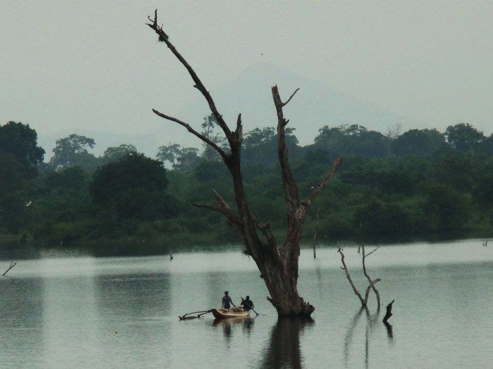 A fishing boat in Udawalawe Reservoir inside the Udawalawe national park. Fishing is the main occupation of people living around the tank.