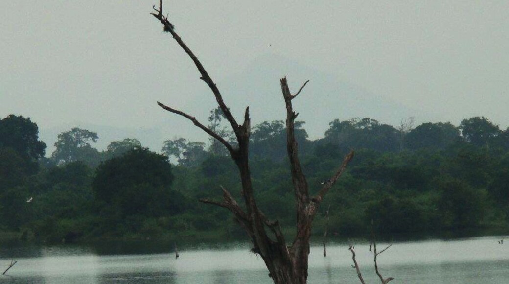 A fishing boat in Udawalawe Reservoir inside the Udawalawe national park. Fishing is the main occupation of people living around the tank.