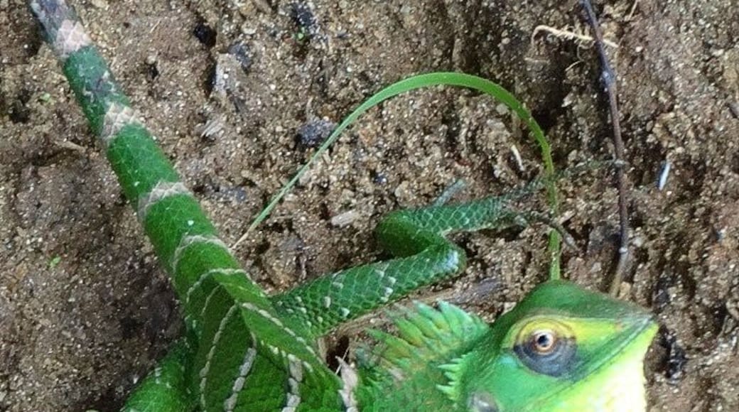 Manchmal weiß man nicht wer hier wen beobachtet...